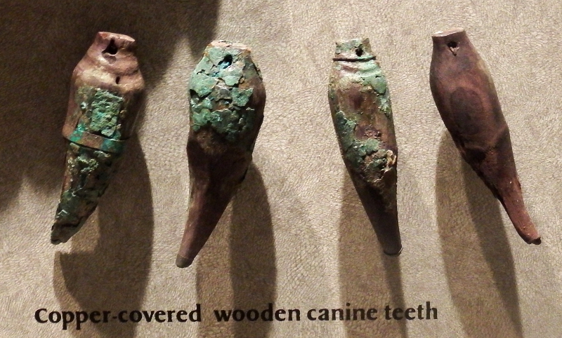 Wooden wolf teeth