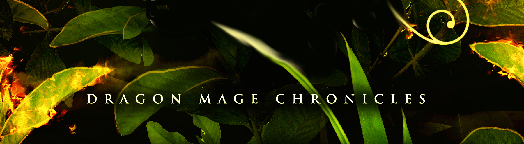 Dragon Mage Chronicles