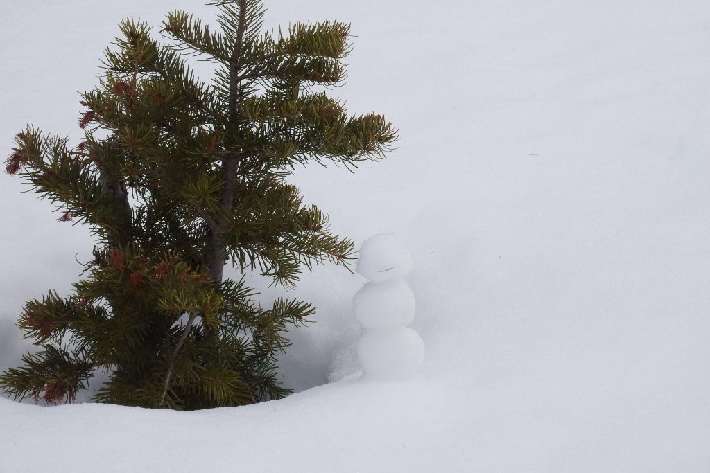 Mini snow man