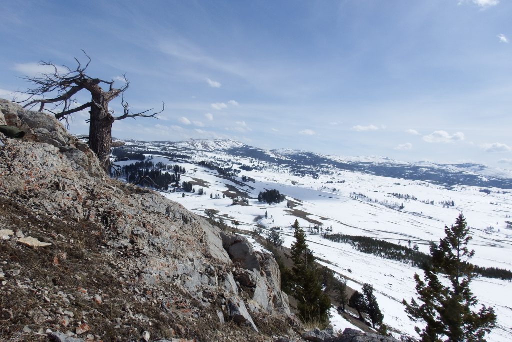 View from North Butte