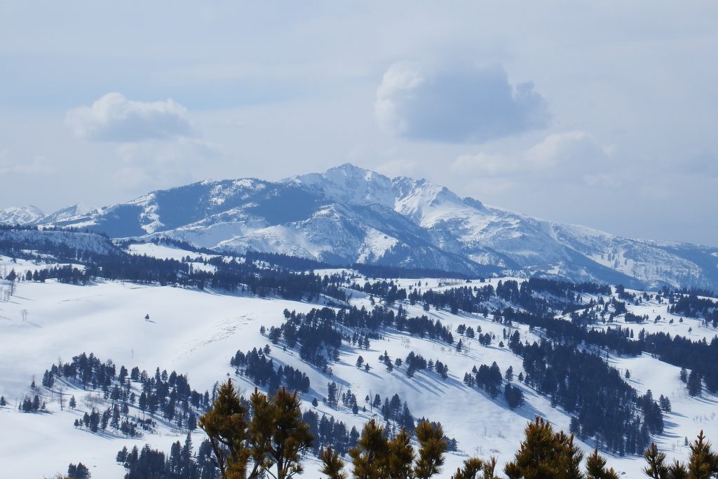 Yellowstone National Park