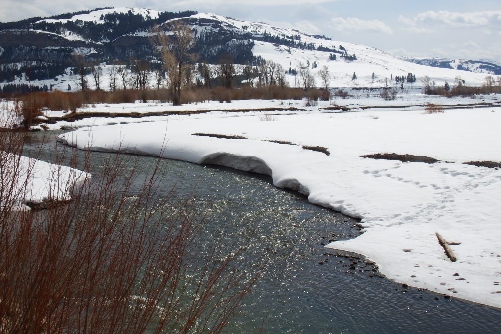 Lamar Valley