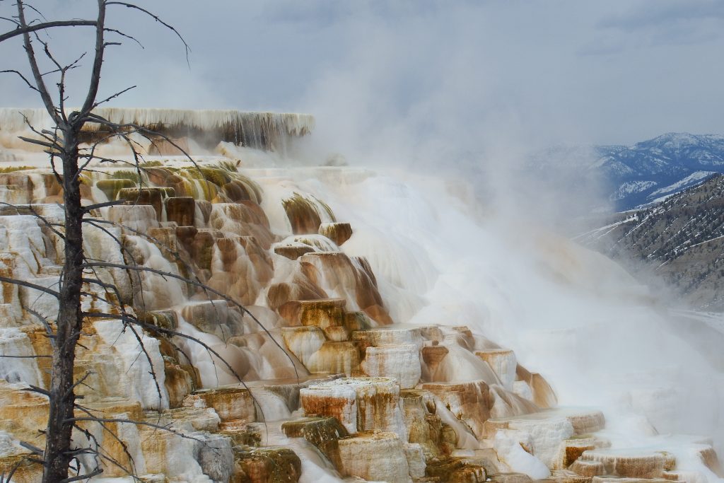 Mammoth hot springs