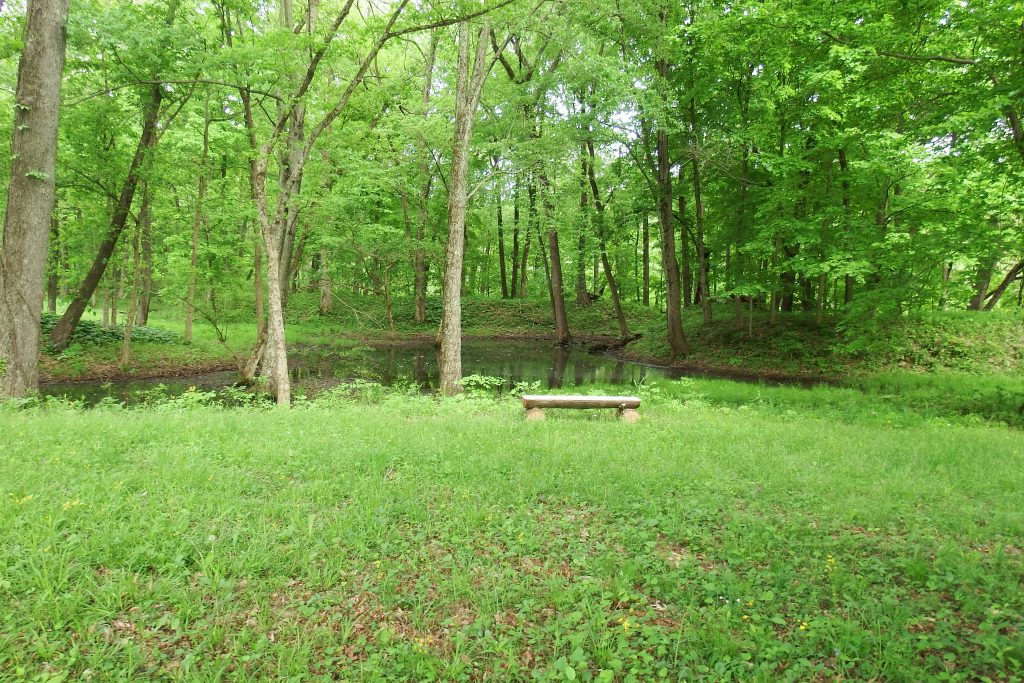 Fort Ancient earthworks