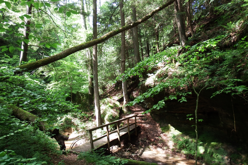 Leo Petroglyph nature trail