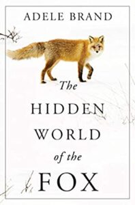 The Hidden World of the Fox